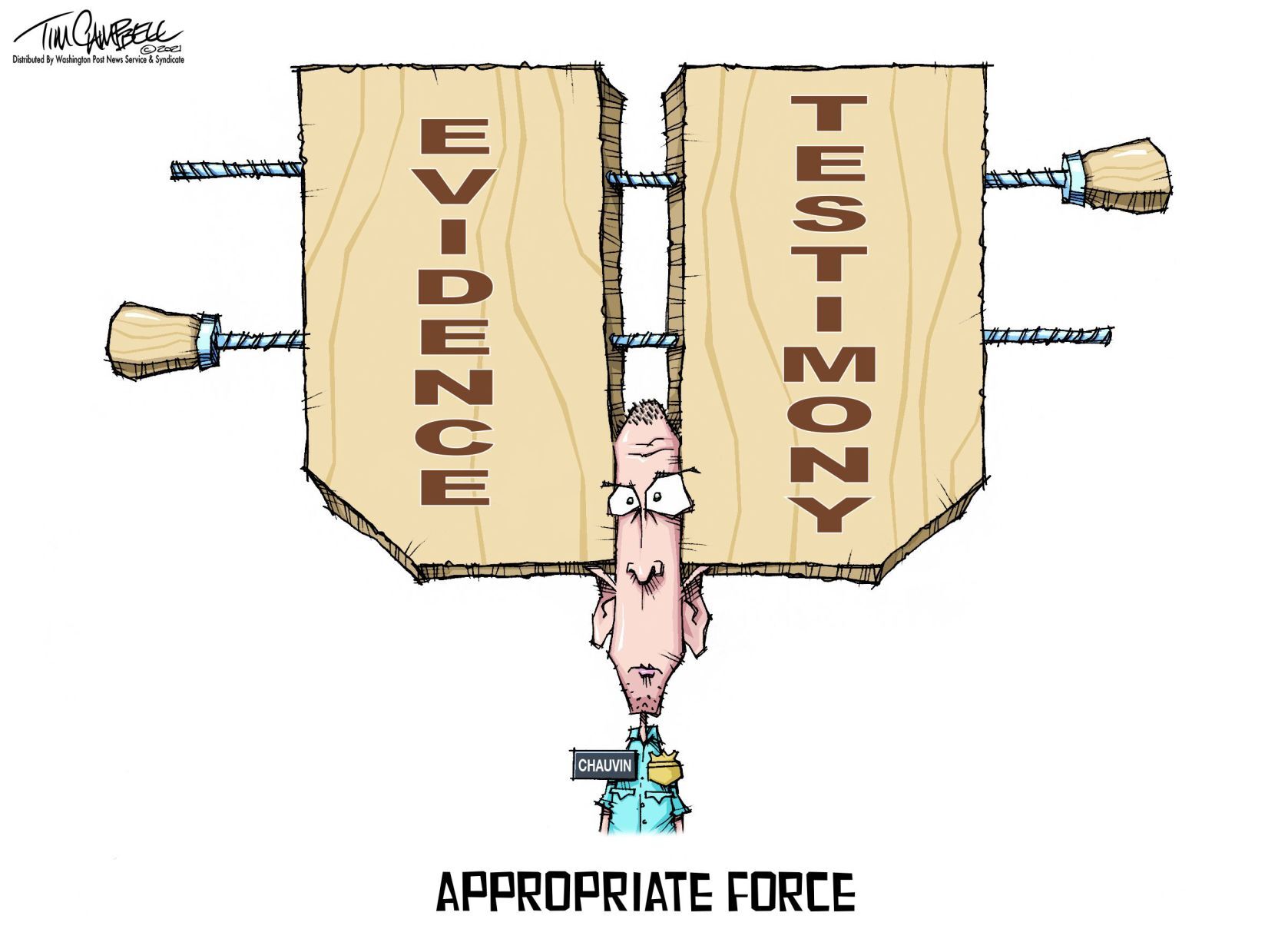 Tim Campbell cartoon